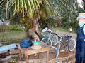 20-JOY_0215.JPG