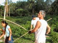 30-s-IMG_0649.jpg