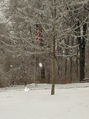 30-l-DSC05909.jpg