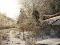 30-l-DSC05925.jpg