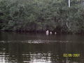 l-100_0583.jpg