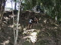 c-100_0927.jpg