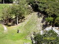 t-100_2683.jpg