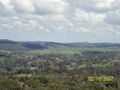 t-100_2685.jpg