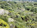 t-100_2689.jpg