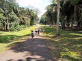 t-100_2700.jpg
