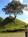 A-DSC04490.JPG