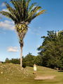 A-DSC04499.JPG