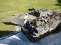 A-DSC04509.JPG
