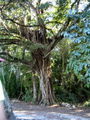 A-DSC04523.JPG