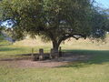 A-DSC04526.JPG