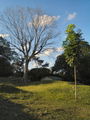 A-DSC04634.JPG