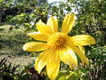 A-DSC04636.JPG