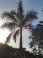 A-DSC04641.JPG