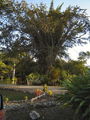 A-DSC04657.JPG