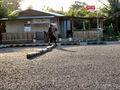A-DSC04662.JPG