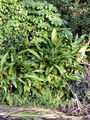 A-DSC04663.JPG