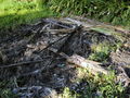 A-DSC04666.JPG