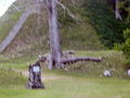 M-DSCF0736.JPG