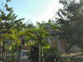j357.jpg