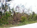 100_4246.jpg