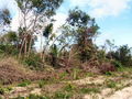 100_4249.jpg