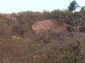 G-1-100_4912.jpg