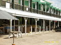dm-dsci0145.jpg