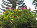 dm-dsci0227.jpg