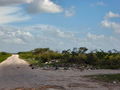 e-img_0074.jpg